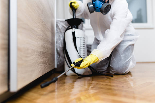 Best Affordable Pest Control Services  in Harrison, TN