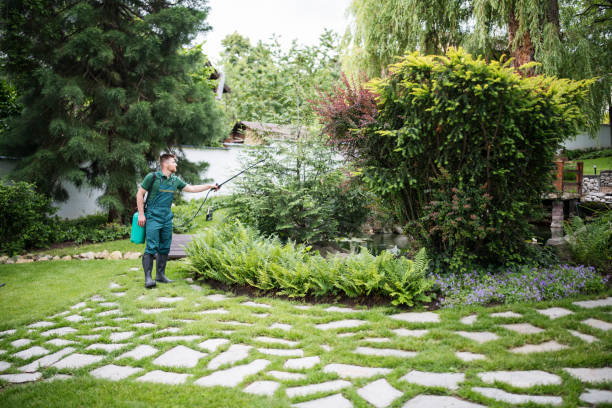 Best Pest Inspection Near Me  in Harrison, TN