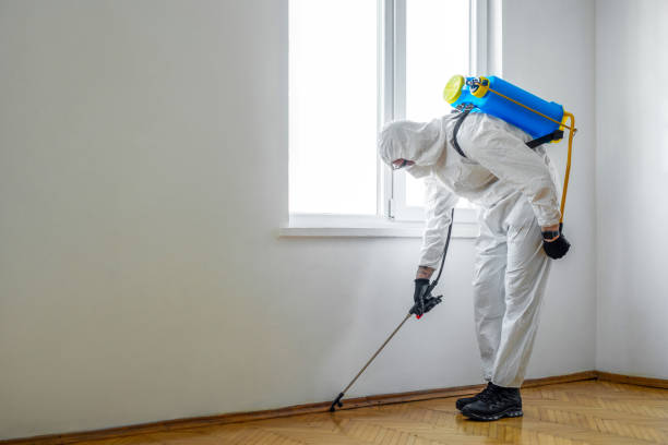 Best Local Pest Control Services  in Harrison, TN
