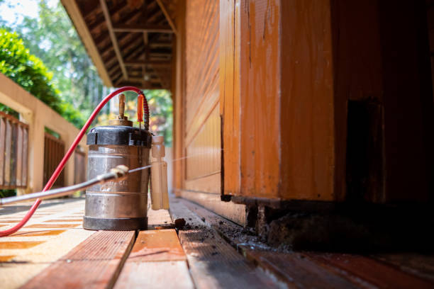 Best Best Pest Control Companies  in Harrison, TN