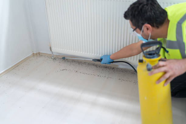Best Pest Prevention Services  in Harrison, TN